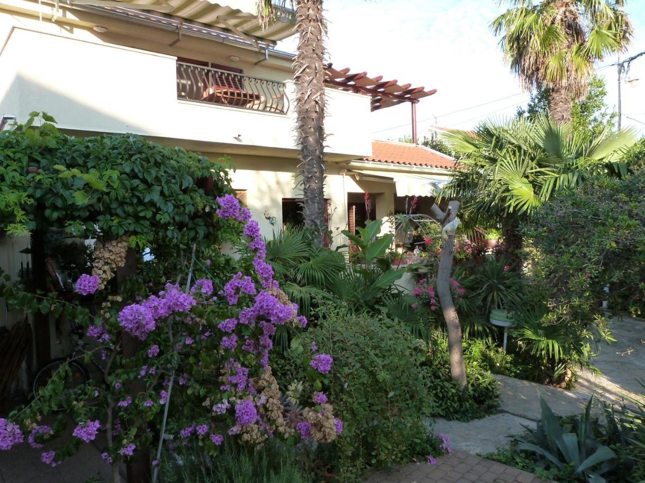 Apartments Eva Sukošan Esterno foto